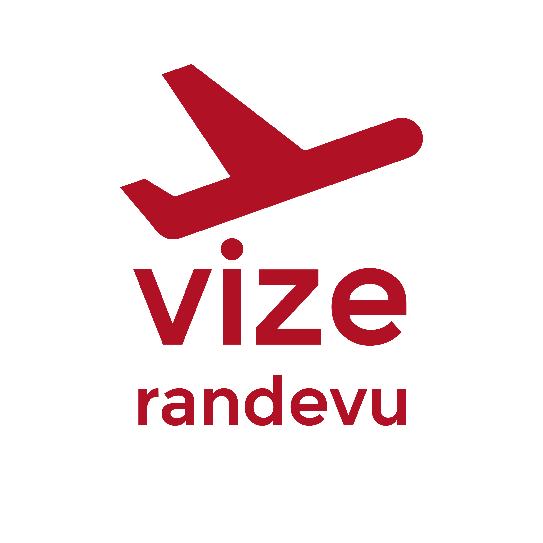 VizeRandevuPro